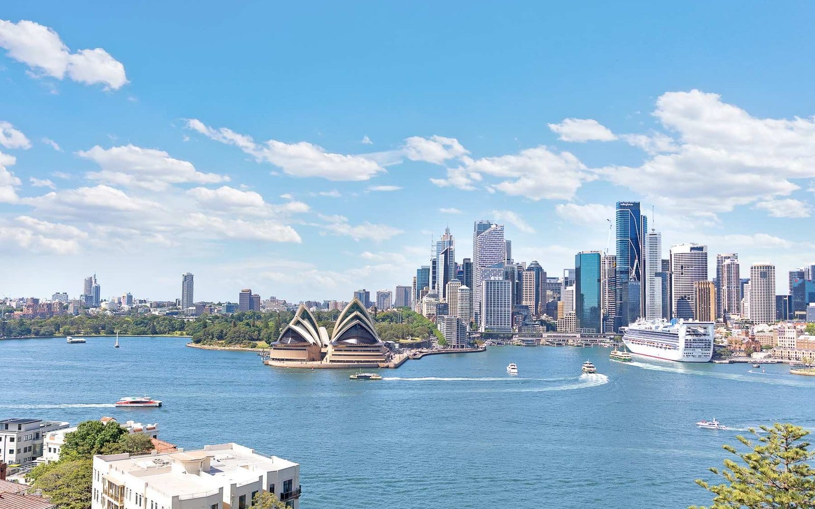 Sydney Harbour from Kirribilli: the Opera House, the city skyline and the ferry wakes, with Kirribilli rooftops in the foreground.